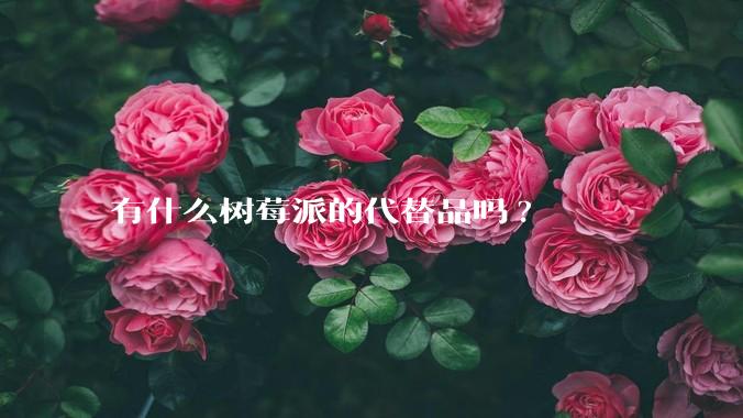 有什么树莓派的代替品吗?