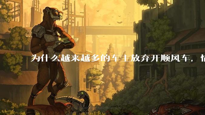 为什么越来越多的车主放弃开顺风车，情愿一个人独自开车？
